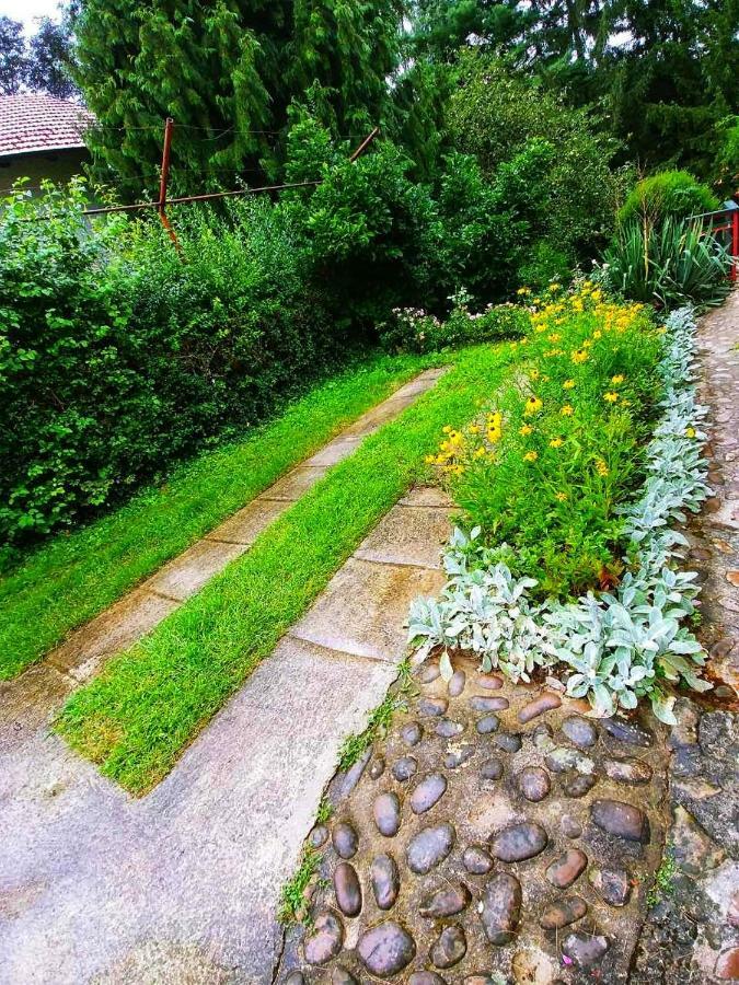 Villa Kuca Za Odmor "Livadica" Netretic Exterior foto